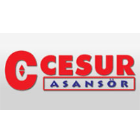Cesur Asansör